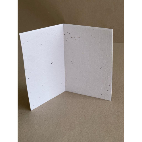 Seeded Recycled Paper Cards - Greeting Card (swan river daisies) (Pack of 20)