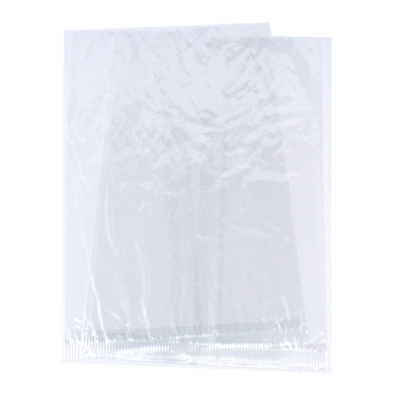 250 - DL Cello Bags (Self Seal) for Greeting Cards-CBDL03