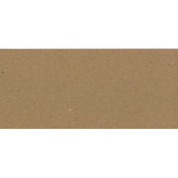 Eco Brown 230gsm Duplex Recycled DL Card 210mm x 99mm (Pack of 100)